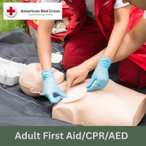 Adult First Aid/CPR/AED
